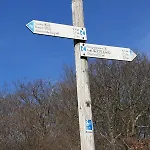 Auszeit Rheingauer Rosengasse *