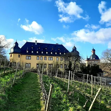Appartement Auszeit Rheingauer Rosengasse