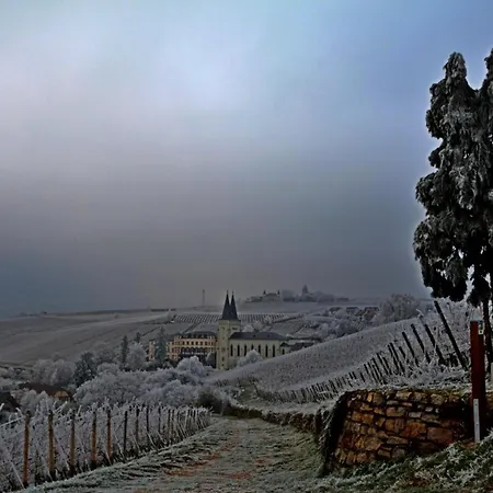 Auszeit Rheingauer Rosengasse Appartement *