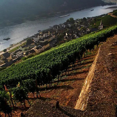 Auszeit Rheingauer Rosengasse