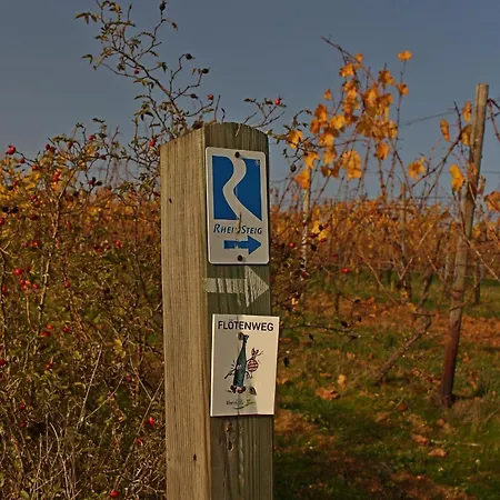 Auszeit Rheingauer Rosengasse アパート