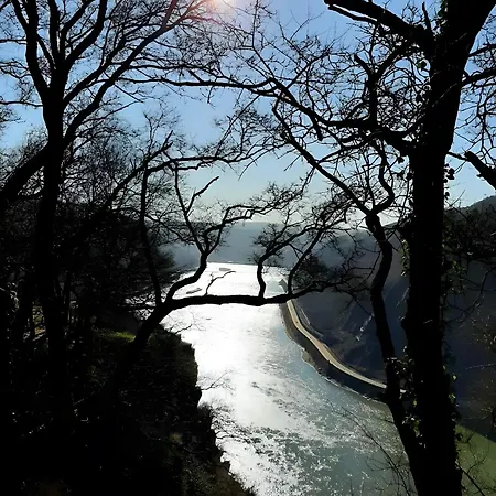 Auszeit Rheingauer Rosengasse アパート *