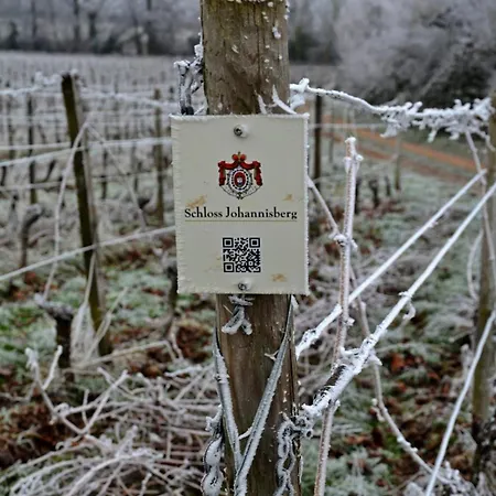 Auszeit Rheingauer Rosengasse Appartement