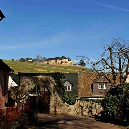 Lejlighed Auszeit Rheingauer Rosengasse Geisenheim
