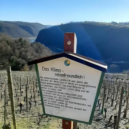 Auszeit Rheingauer Rosengasse *