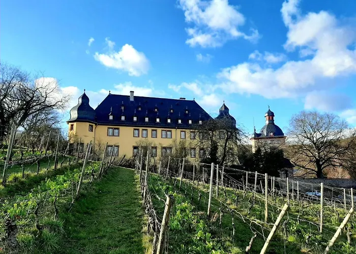 Apartment Auszeit Rheingauer Rosengasse