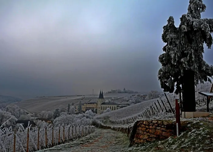 Auszeit Rheingauer Rosengasse Appartamento *