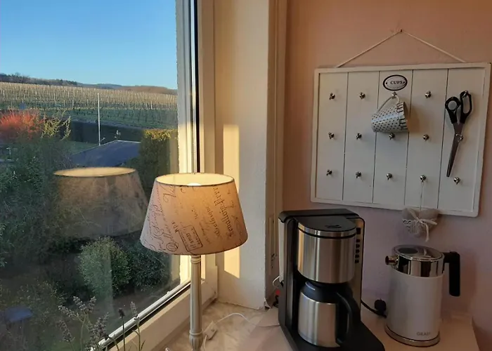 Apartment Auszeit Rheingauer Rosengasse Geisenheim