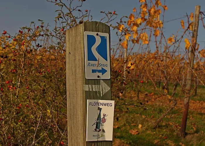 Auszeit Rheingauer Rosengasse Appartamento