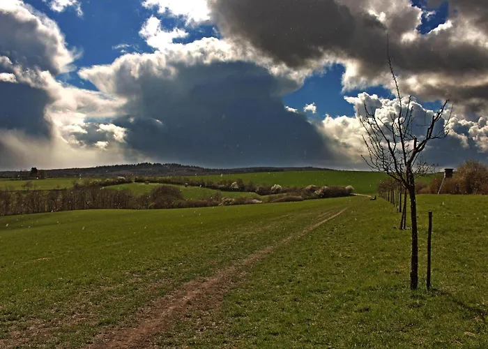 Appartamento Auszeit Rheingauer Rosengasse *