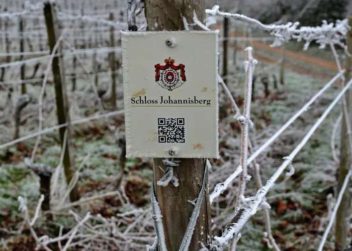 Auszeit Rheingauer Rosengasse Appartamento