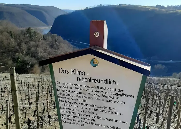 Auszeit Rheingauer Rosengasse * Geisenheim